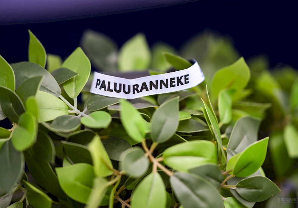 Hanki itsellesi paluuranneke!